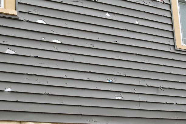 Best Custom Siding Design  in Brookneal, VA
